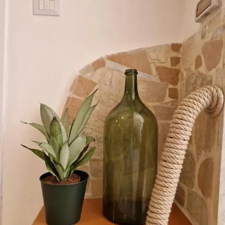 Cisterna - Loft Con Giardino Appartamento *