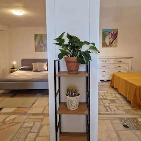 Cisterna - Loft Con Giardino Lägenhet