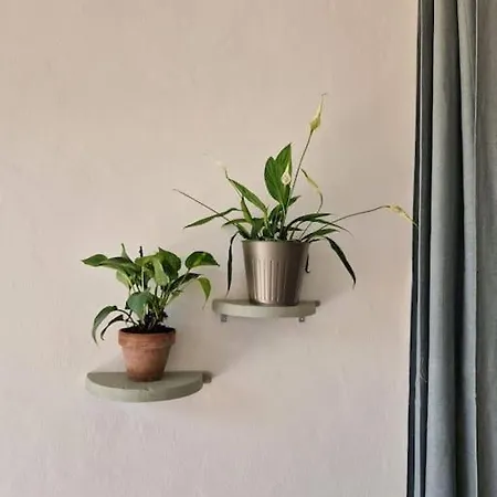 Cisterna - Loft Con Giardino Lägenhet *