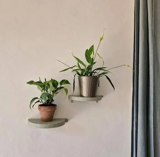 Cisterna - Loft Con Giardino Appartamento *