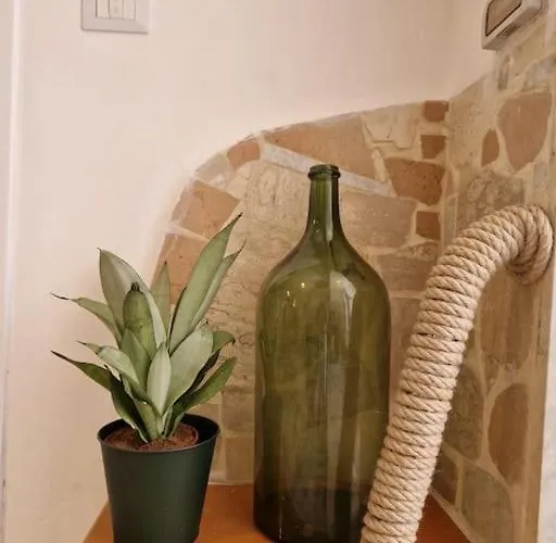 Cisterna - Loft Con Giardino Appartamento *