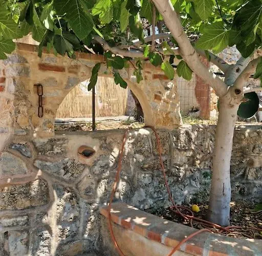 Cisterna - Loft Con Giardino